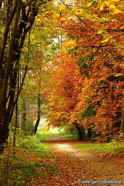 Polska Jesień (Polish Autumn), Слупск