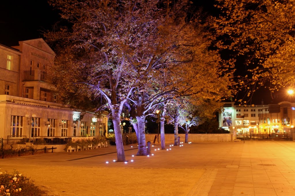 Sopot Plac Zdrojowy at night, Сопот