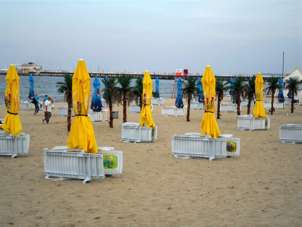 Palmy na Sopockiej plaży, Сопот