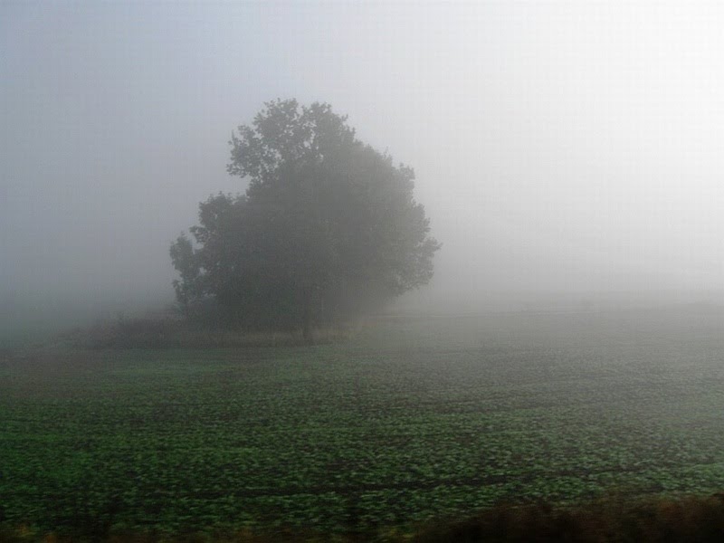 widok z okna wagonu kolejowego - mgła jesienna, Тчев