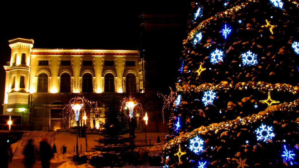 Bielsko Biała. Christmas tree and Castle by night., Белско-Бяла