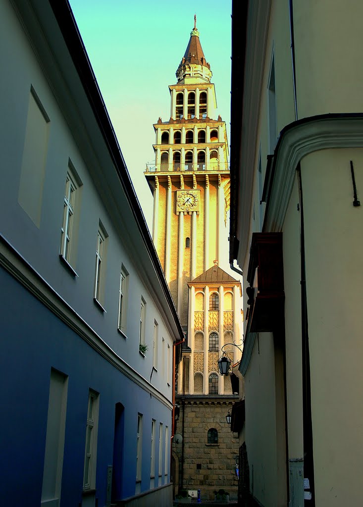 Bielsko-Biała katedra św. Mikołaja, Белско-Бяла