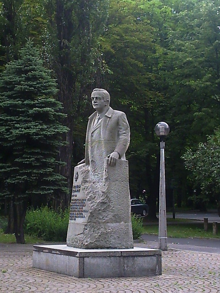 Pomnik Wojciecha Korfantego, Водзислав-Сласки