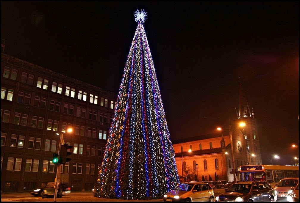 GLIWICE. Najwyższa choinka w mieście/The highest Christmas tree in my town, Гливице