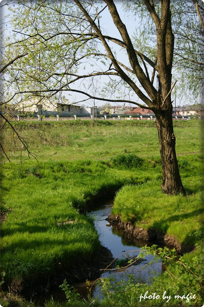 GLIWICE. Potok Doły (Rohrgraben) w kwietniu 2011/Doły (Rohgraben) stream in April 2011, Гливице