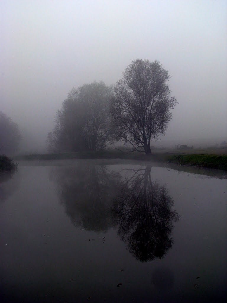 Poranna mgła w SIemianowicach, Даброваа-Горница