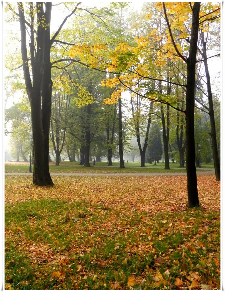 żywiecki park, jesień i mgła, Живец