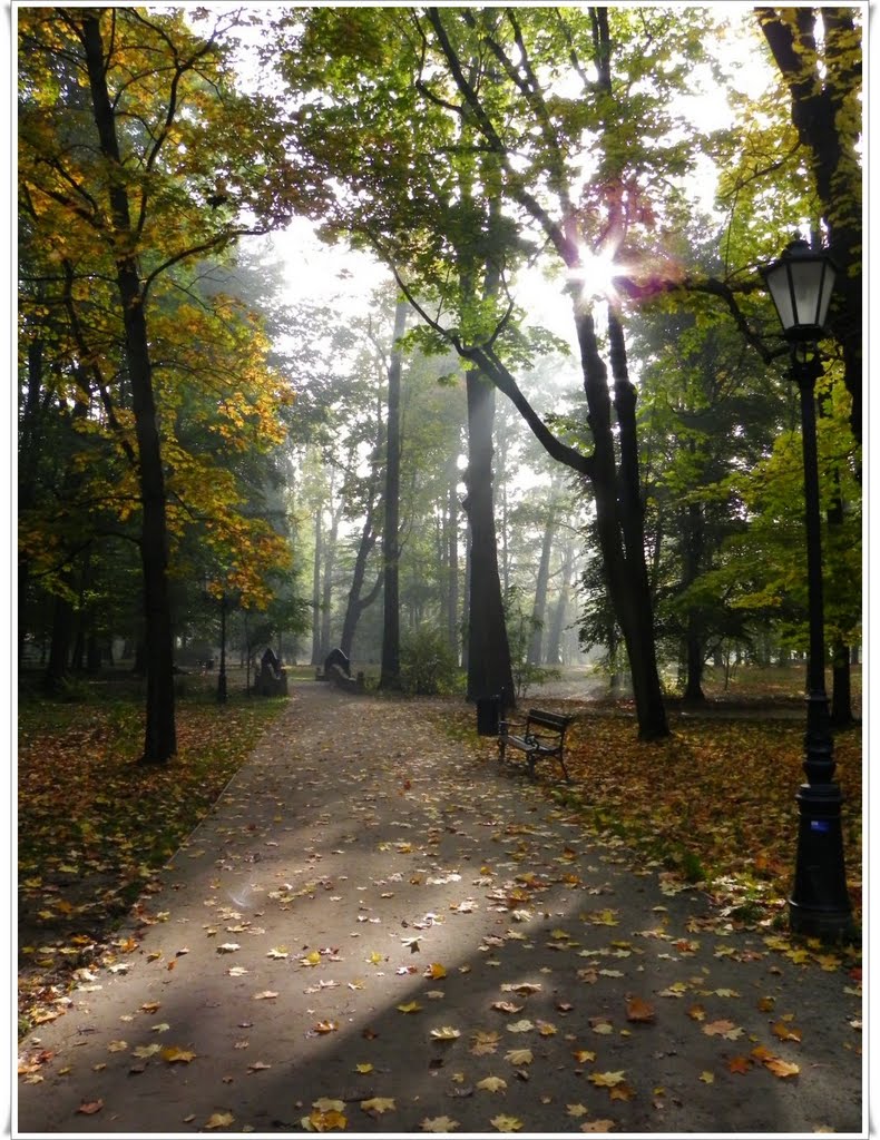 żywiecki park, jesień i mgła, Живец