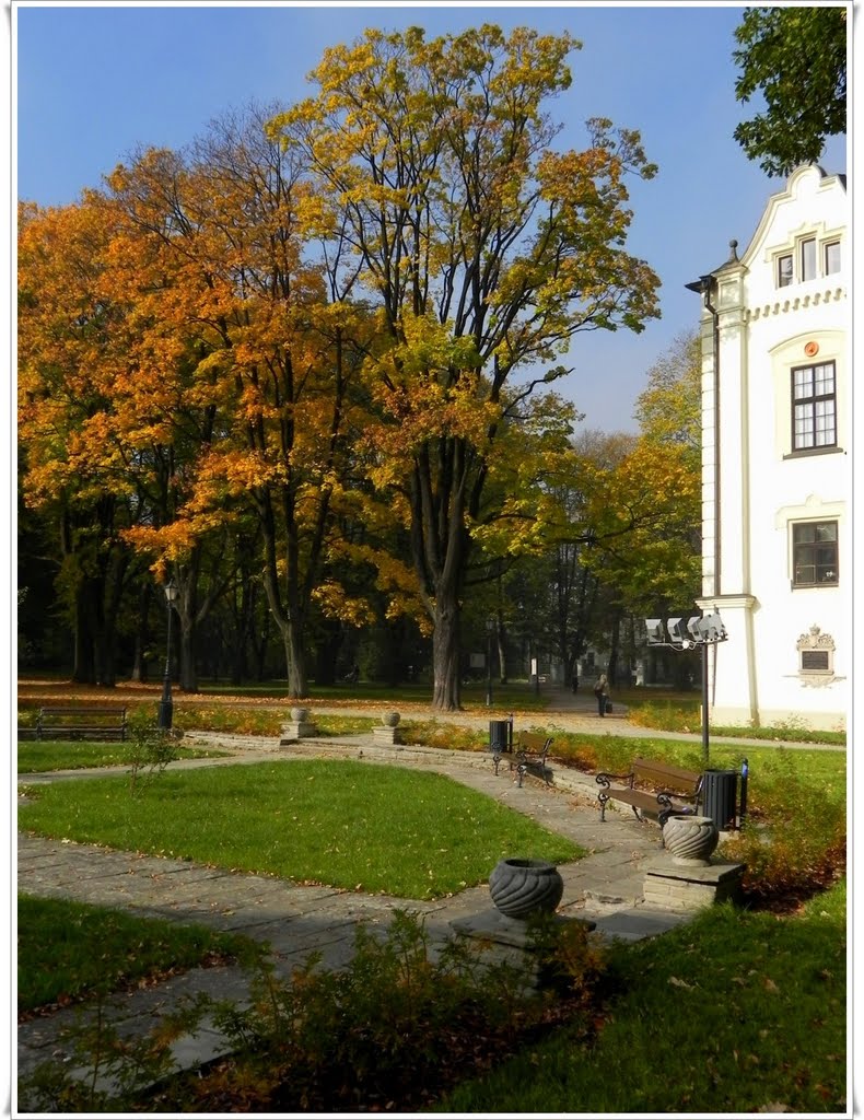 żywiecki park jesienią, Живец