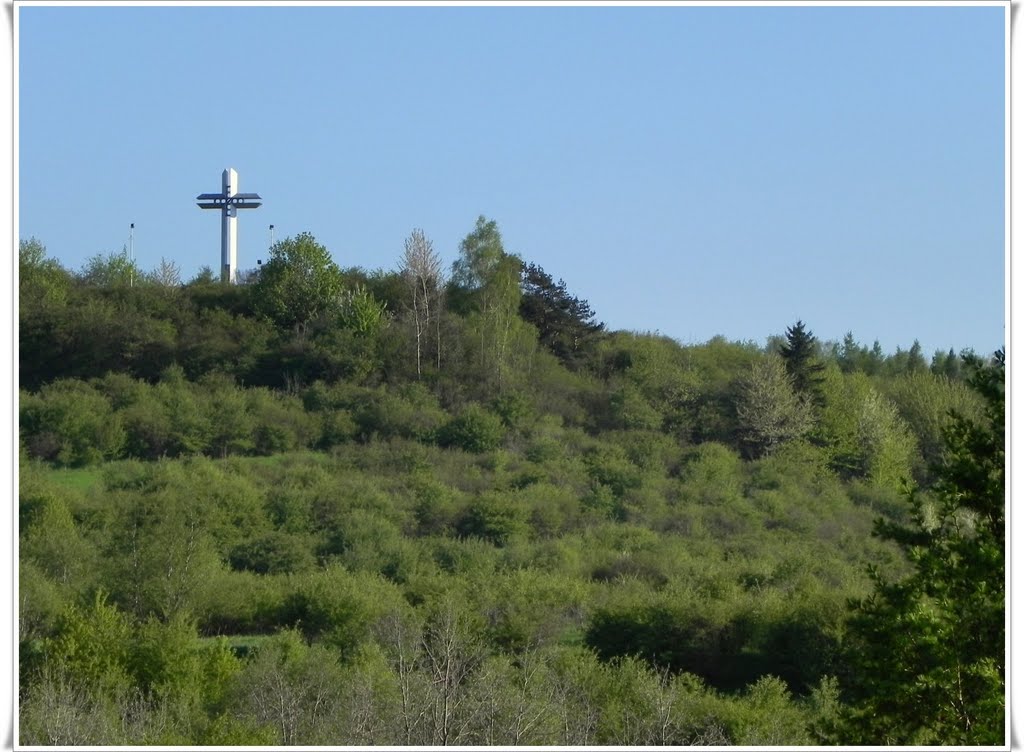 Krzyż Papieski na Średnim Grojcu, Живец