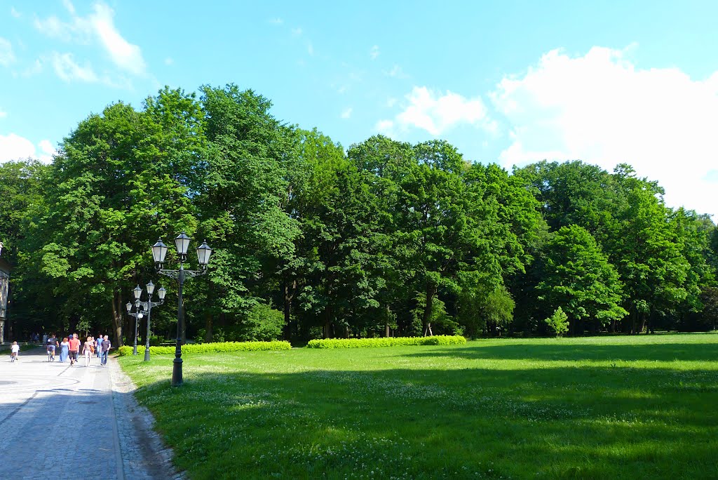 Żywiecki park Habsburgów., Живец