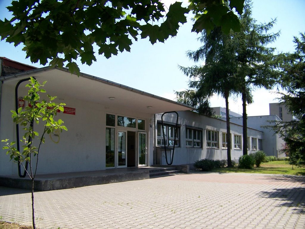 Kopernik Katowice bilingual school, Катовице