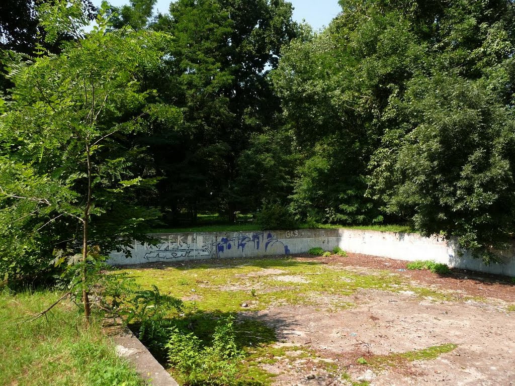 Stary basen w parku (an old swimming-pool), Мысловице