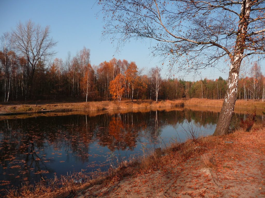 Modrzejów jesienią (Sosnowiec by autumn), Мысловице