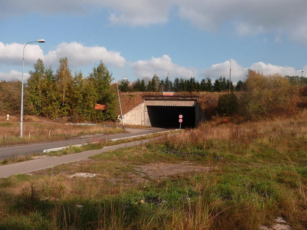 Wiadukt nad Obrzeżną Północną (viaduct over Obrzeżna Północna st.), Мысловице