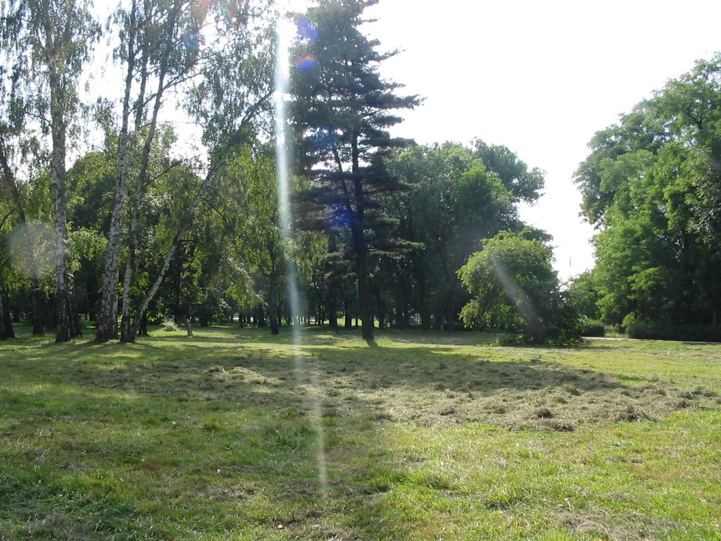 Pyskowice park, Пысковице