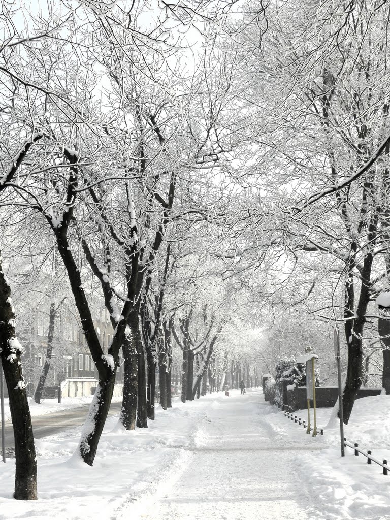 winter walk ...., Пысковице