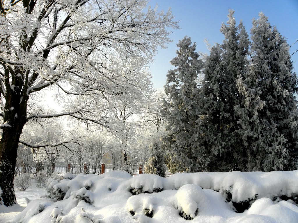 The charm of the winter_2, Пысковице