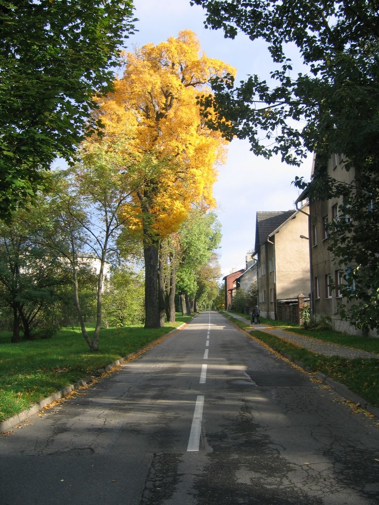 jesienna uliczka, Пысковице