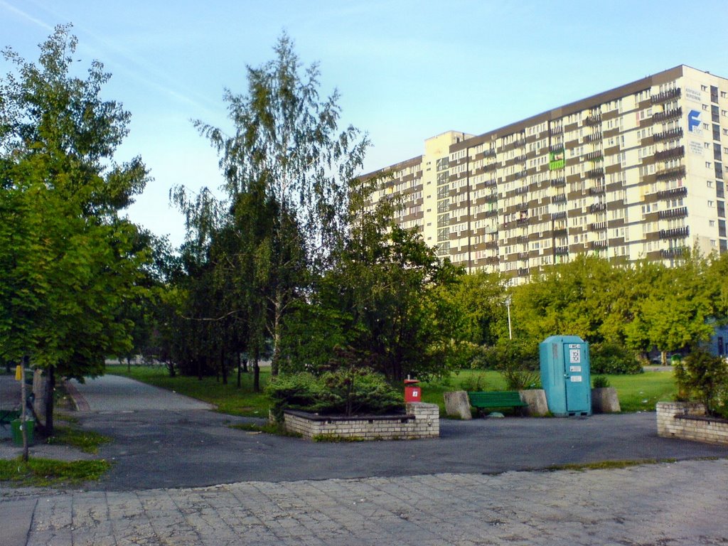 Dabrowa Gornicza - Centrum [2006]-c, Сосновец