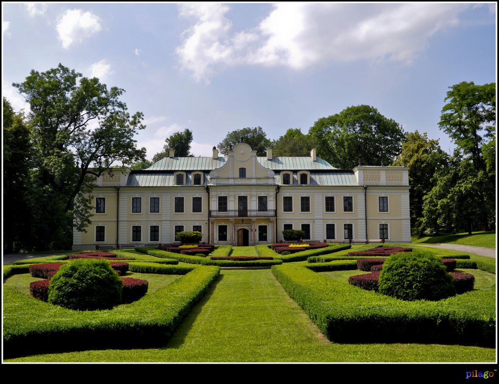 Muzeum Zagłębia w Będzinie, barokowo-klasycystyczny pałac w Będzinie-Gzichowie ¦ by pilago, Сосновец