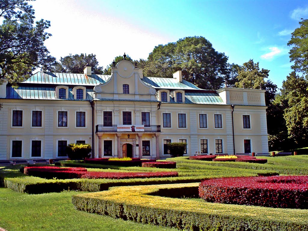 Pałac w Będzinie, Сосновец