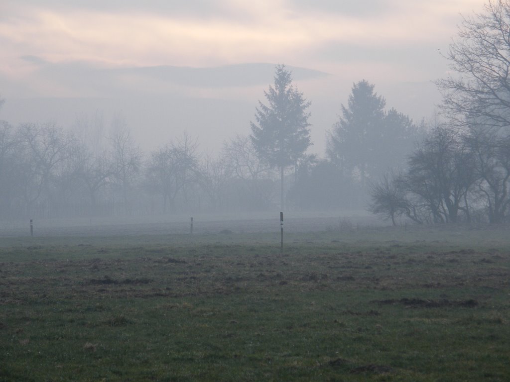 Mountains In The Mist, Цеховице-Дзедзице
