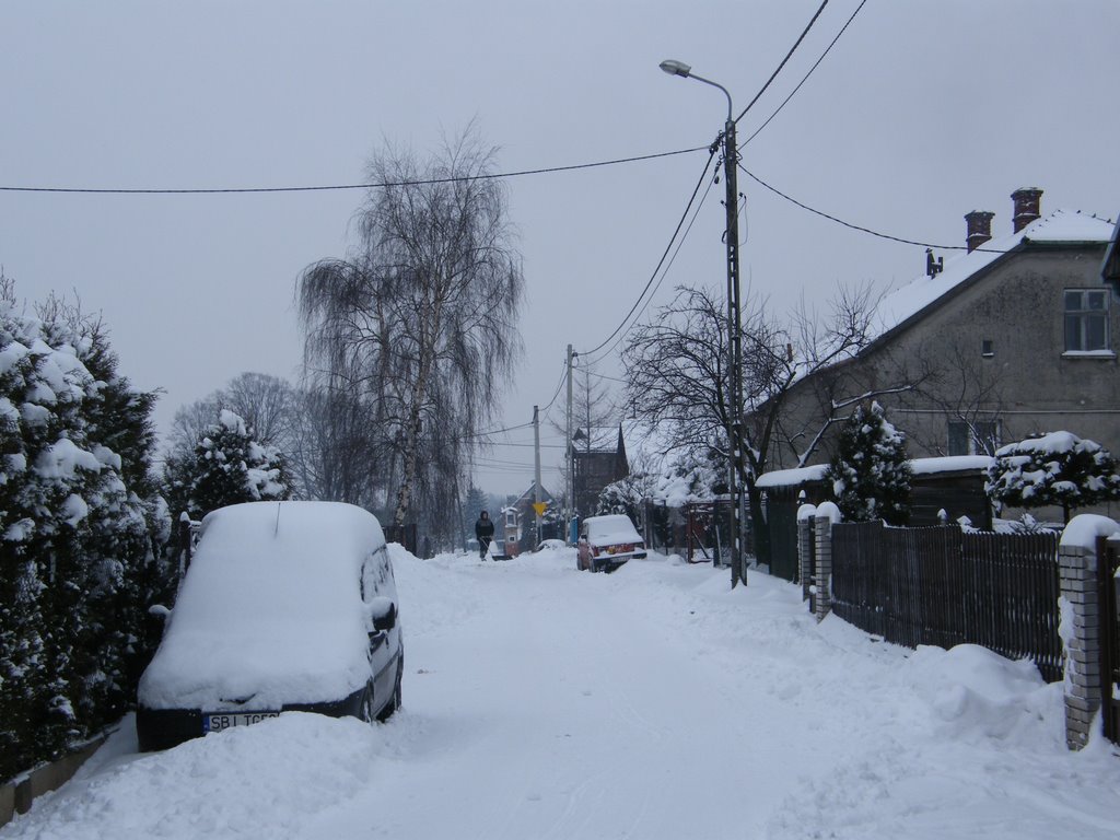 Clearing The Snow, Цеховице-Дзедзице