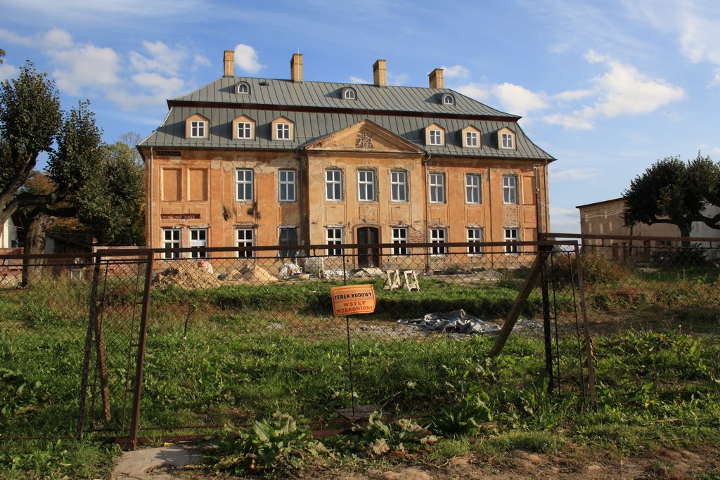 Kotulinski Palace (Under Restoration), Цеховице-Дзедзице