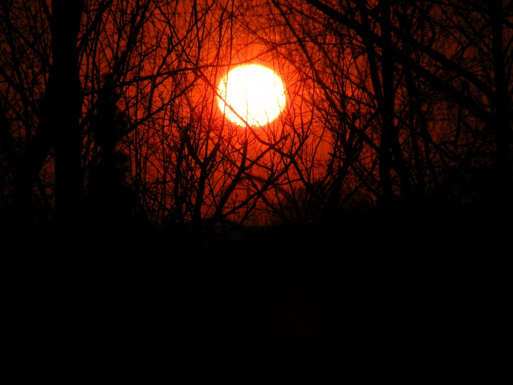 Full Sunset (Zoomed In), Цеховице-Дзедзице