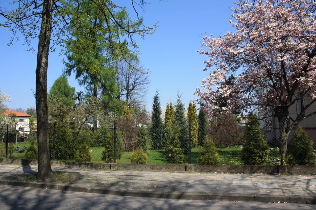 Spring In Lesisko, Цеховице-Дзедзице
