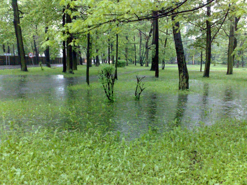 Park, Swamp, Цеховице-Дзедзице