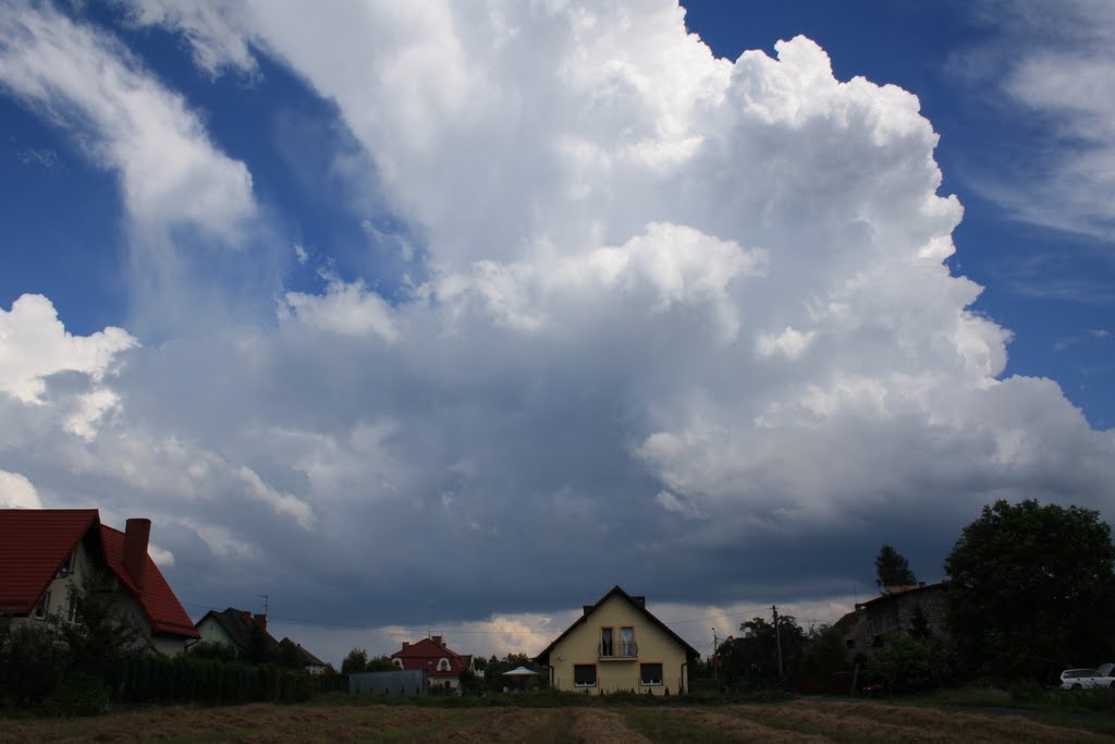 A House Under A Cloud, Цеховице-Дзедзице