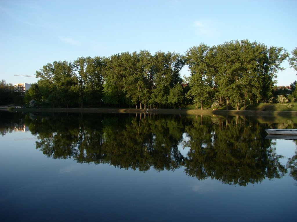 Reflection of trees., Кельце