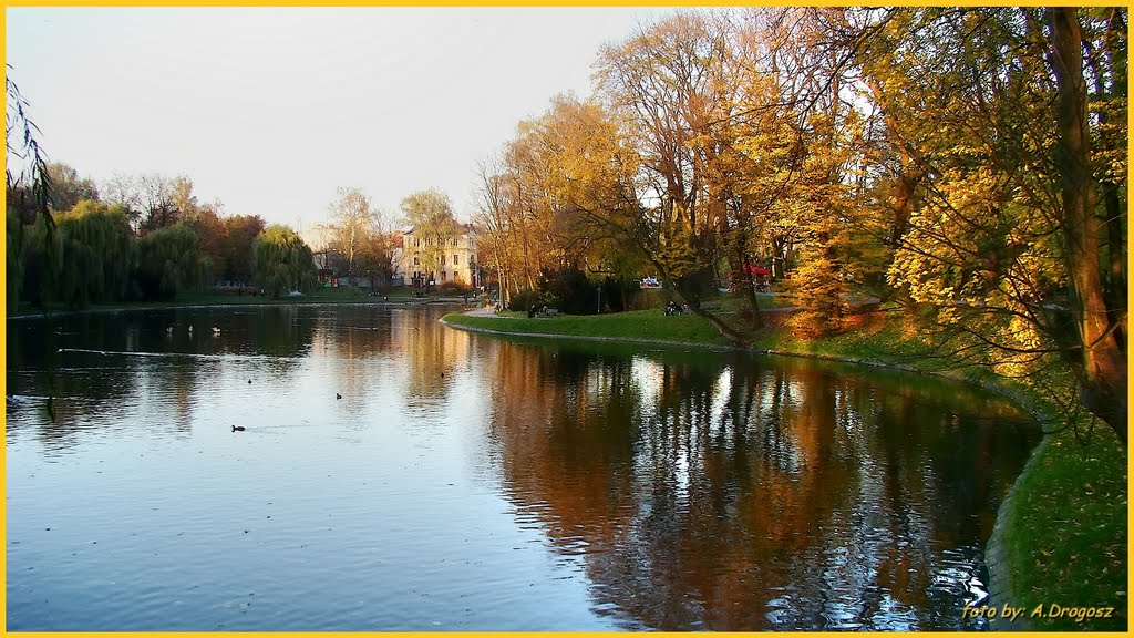 The autumn in the city park., Кельце