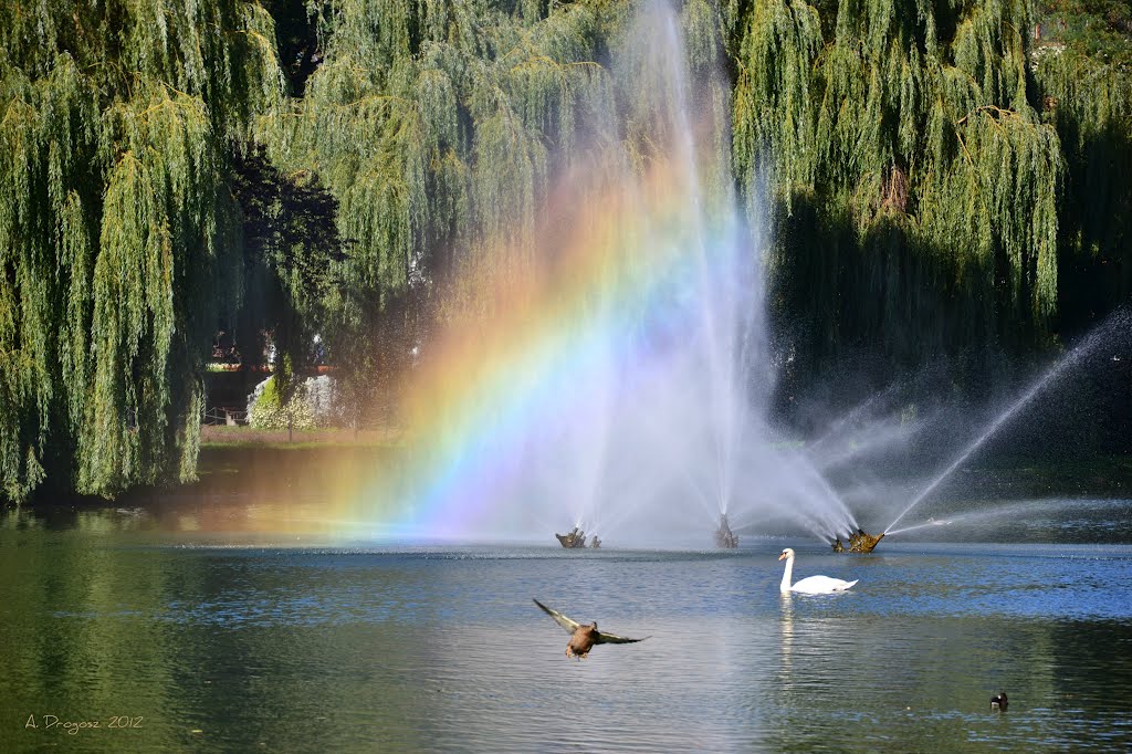 Rainbow fountain., Кельце