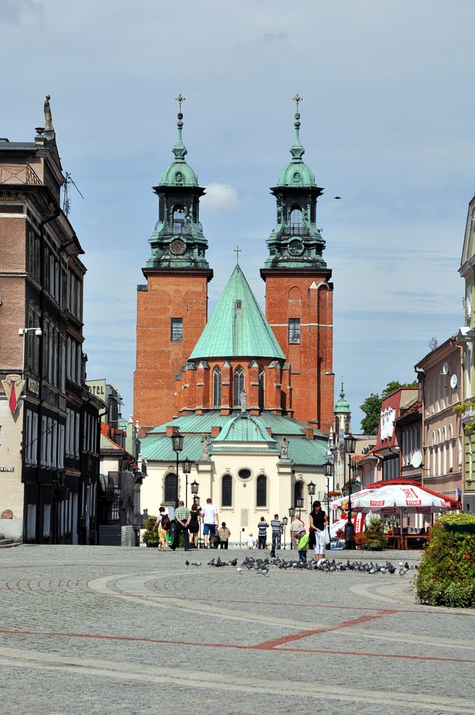 Gniezno - Cathedral, Конские