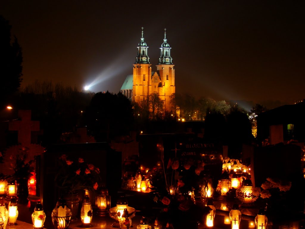 Katedra gnieźnieńska widok z cmentarza św. Piotra. 02.11. 2011 r., Конские
