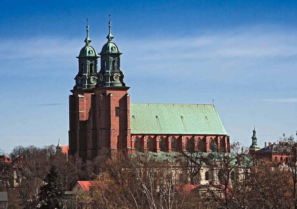 katedra w Gnieźnie, Конские