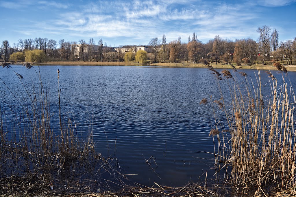Jezioro Jelonek, Конские