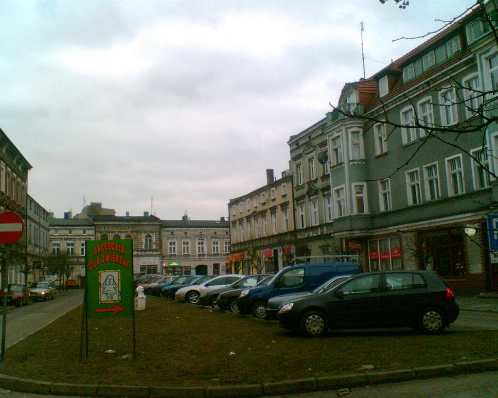 Zielony Rynek w Gnieźnie, Конские
