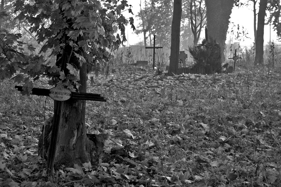 Cmentarz przy ul. Dalkoskiej wrzesień 2008, Островец-Свитокржиски