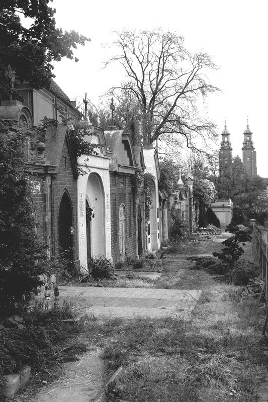 Cmentarz w Gnieźnie, Островец-Свитокржиски