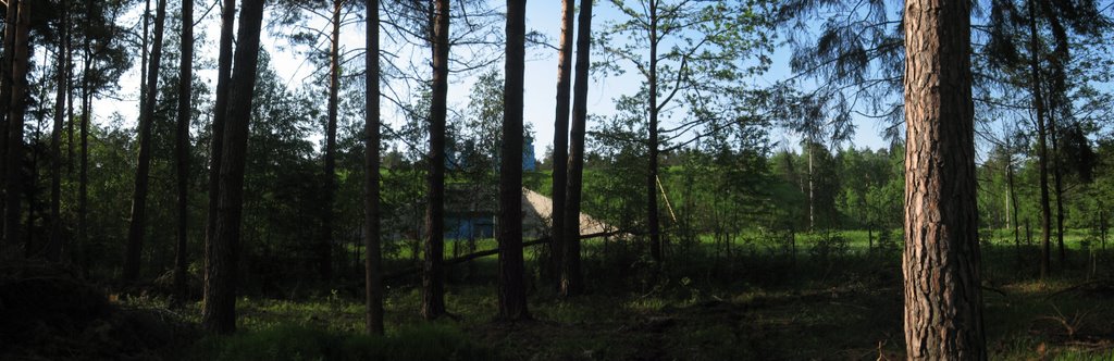 Forest2, Скаржиско-Каменна