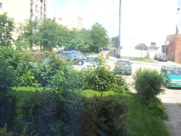 Widok na osiedle Męczenników z okna, Дзялдово