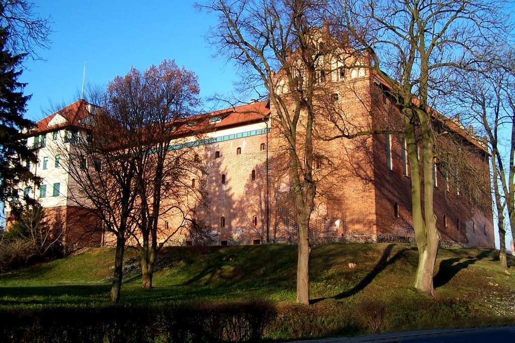 Zamek Krzyżacki  / Castle of the Teutonic Order  [gr], Дзялдово