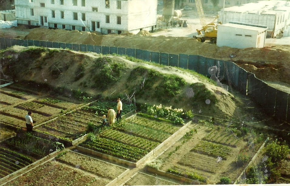 Budowa bloków na ul. Leśnej 1996, Дзялдово
