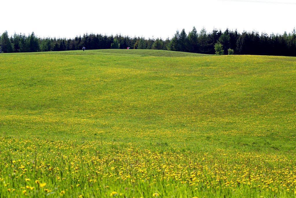 Barczewo - wiosenna łąka, Кетржин