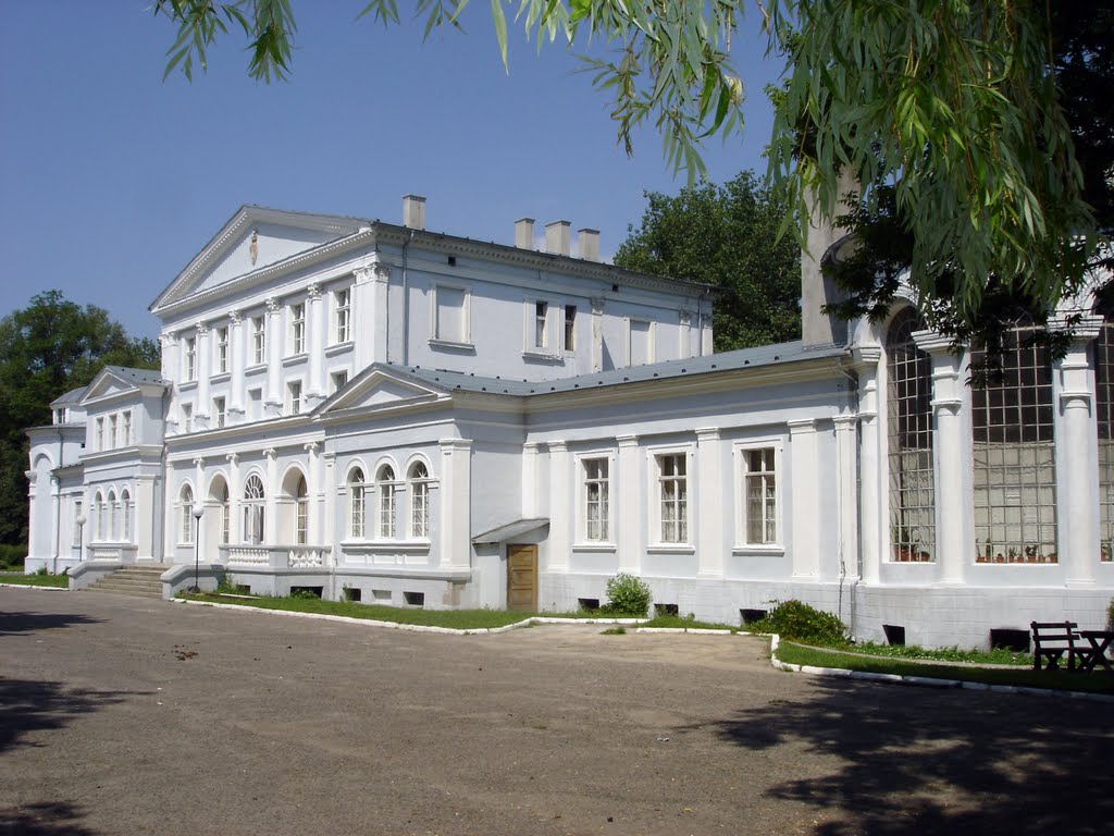 Iwno - Pałac Mielżyńskich, Вагровец
