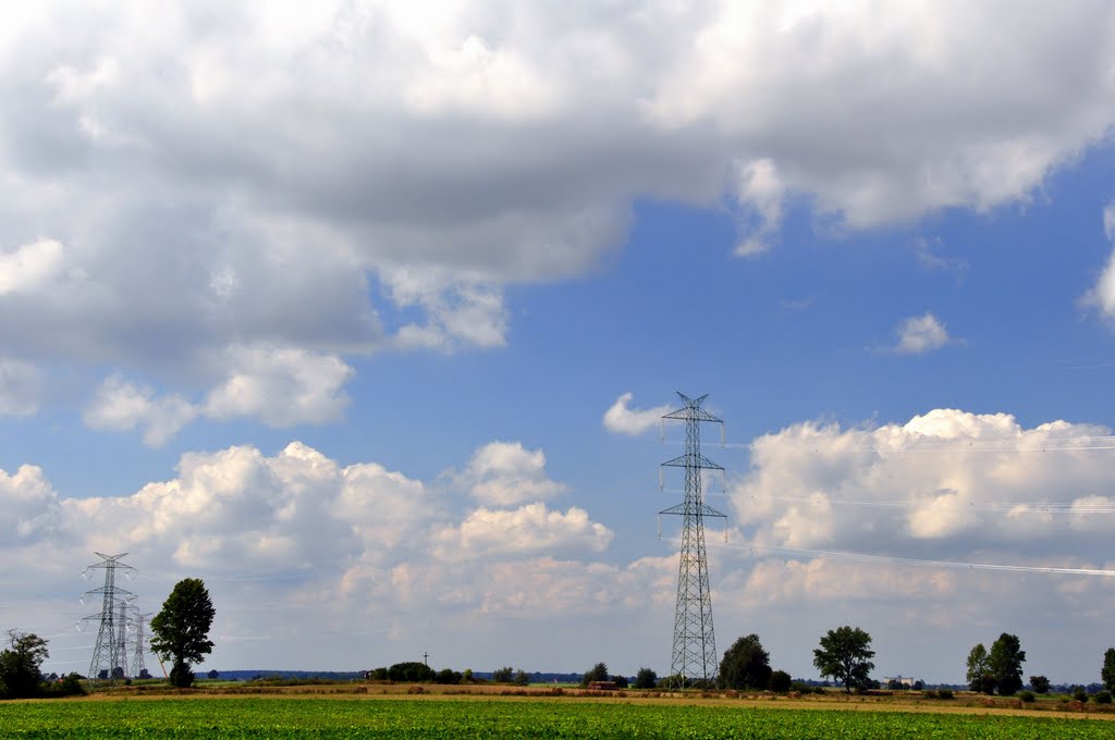 The biggest polish high-voltage transmission line, Gądki grain elevator and cementary of died during cholera epidemic in 19th century, Вржесня